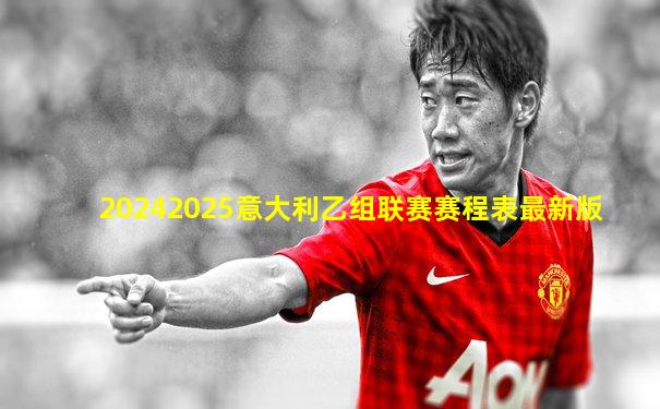20242025意大利乙组联赛赛程表最新版