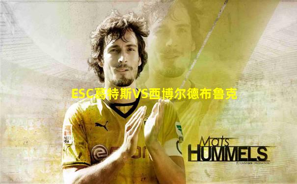 ESC葛特斯VS西博尔德布鲁克