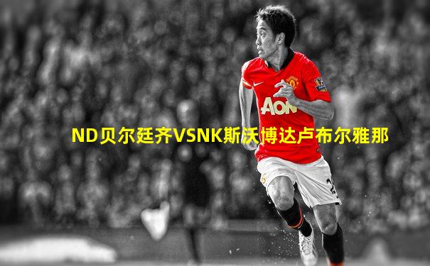 ND贝尔廷齐VSNK斯沃博达卢布尔雅那