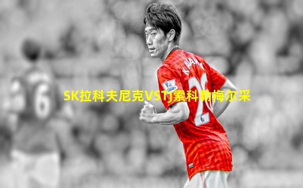 SK拉科夫尼克VSTJ索科勒梅尔采