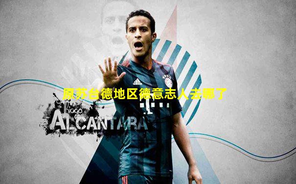 原苏台德地区德意志人去哪了