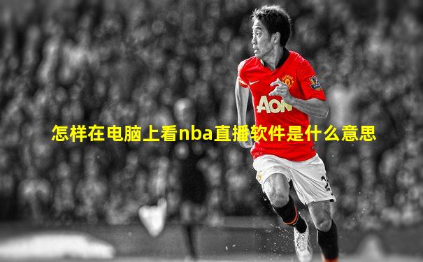 怎样在电脑上看nba直播软件是什么意思