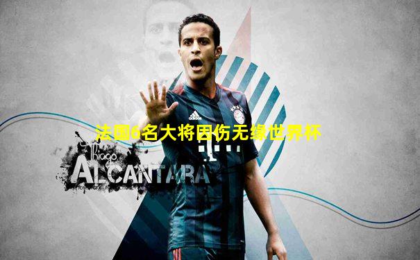 法国6名大将因伤无缘世界杯