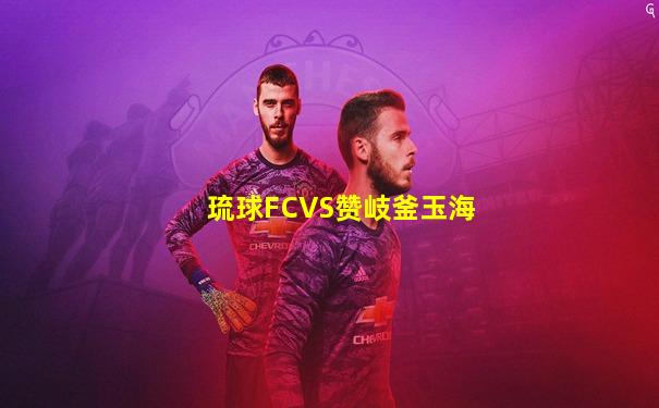 琉球FCVS赞岐釜玉海