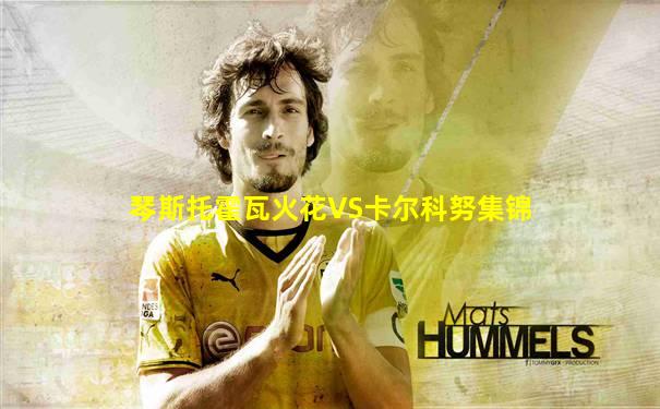 琴斯托霍瓦火花VS卡尔科努集锦