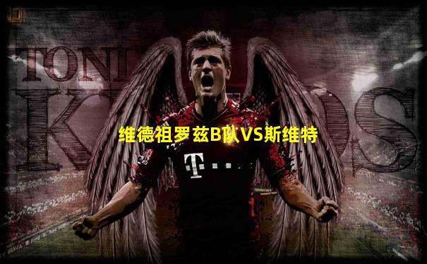 维德祖罗兹B队VS斯维特
